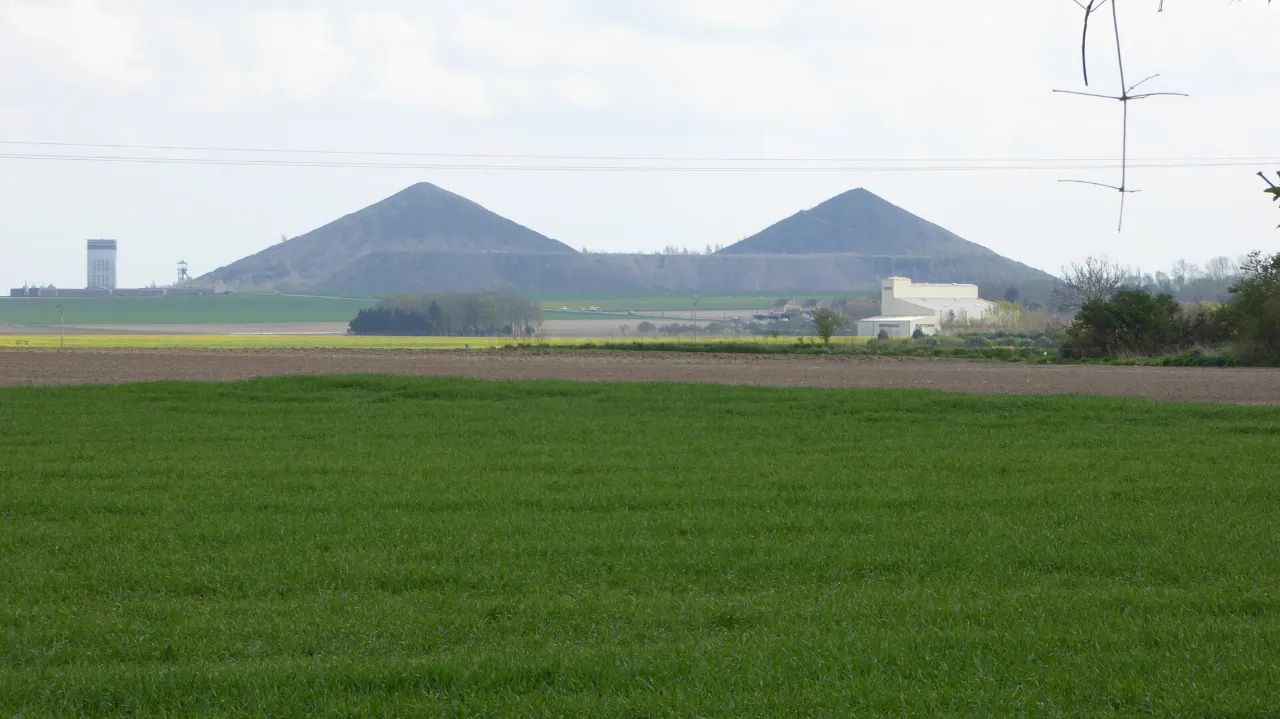 Les deux terrils jumeaux de Loos-en-Gohelle au-dessus d’un champ vert
