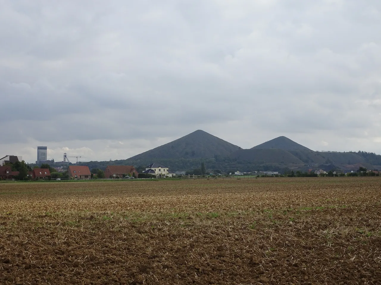 Les terrils jumeaux de Loos-en-Gohelle à l’horizon d’un champ labouré